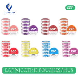 EGP Nicotine Pouches Snus in Dubai Uae