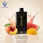VGPT 25K Disposable Vape (25,000 Puffs)