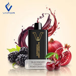 VGPT 25K Disposable Vape (25,000 Puffs)