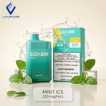 Geek Bar B5000 Rechargeable Disposable Vape in UAE