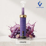 Sultan Shisha 100K Disposable Vape 2MG in Sharjah
