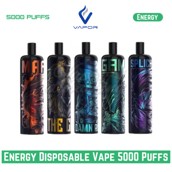 Energy Disposable Vape 5000 Puffs