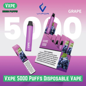 Vxpe 5000 Puffs Disposable Vape Dubai