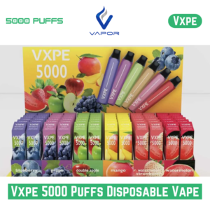 Vxpe 5000 Puffs Disposable Vape Dubai