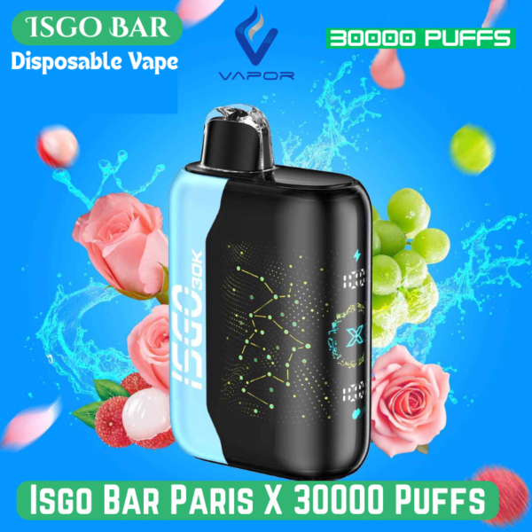 Buy Isgo Bar Paris X 30000 Puffs Disposable Vape in Dubai